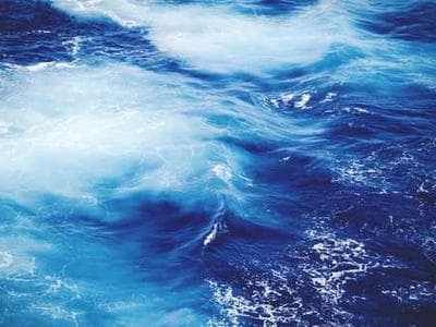 Multiple project logos