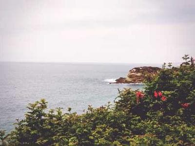 Person looking out window