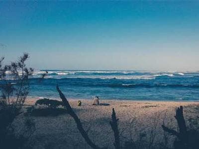 Digital rendering of 3D fashion